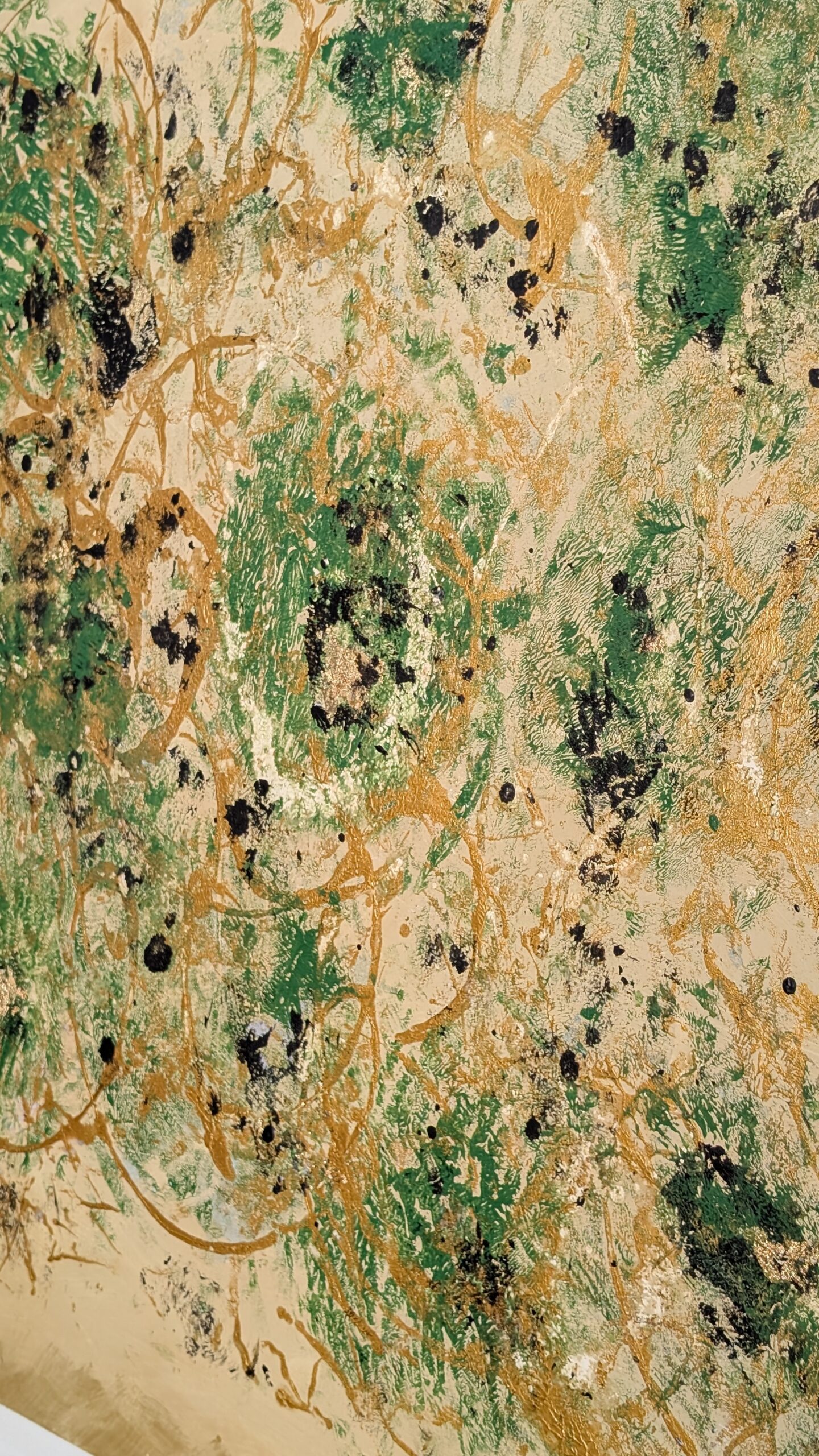 Phillip Island – Image 5