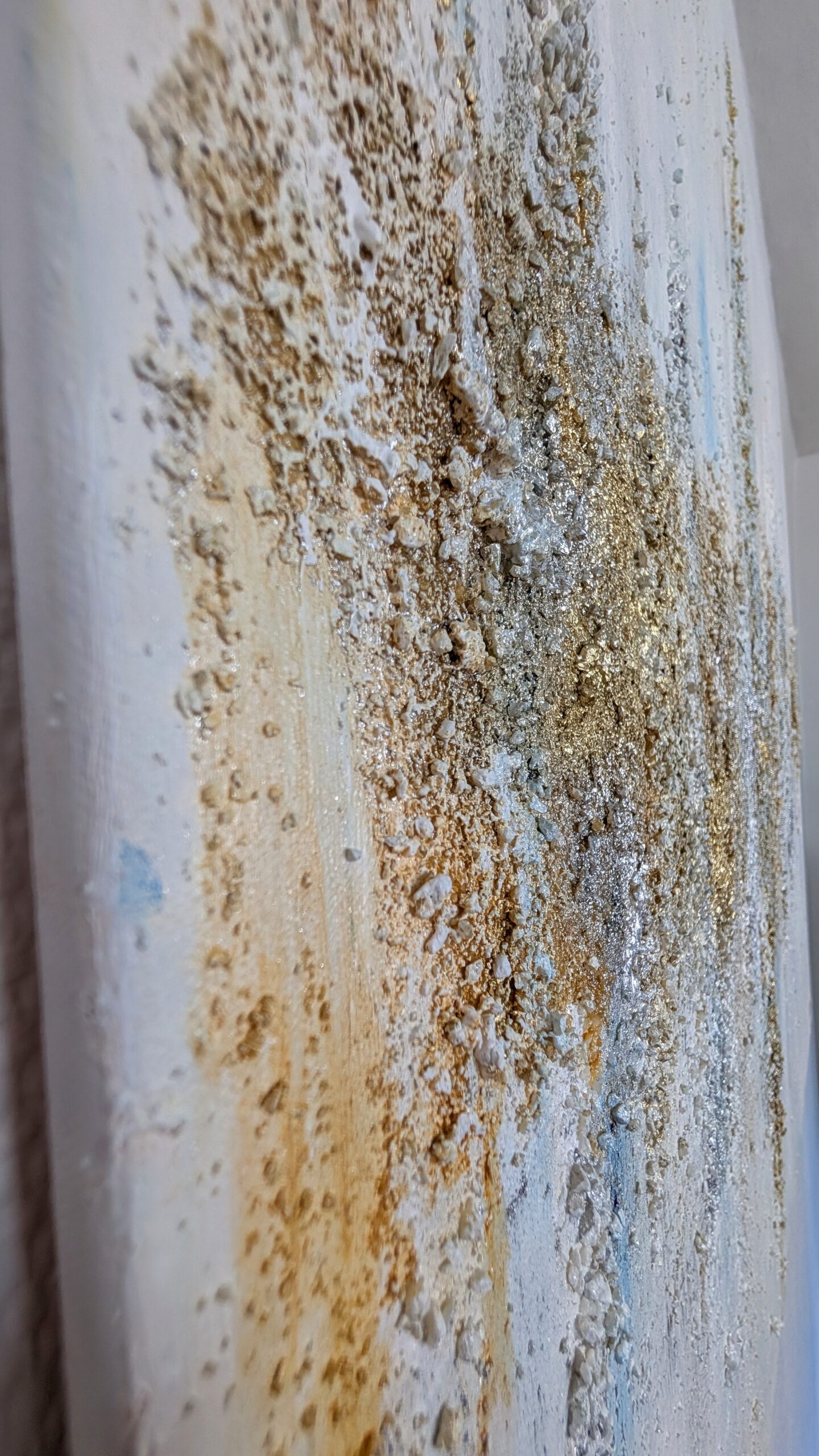 Canberra – Image 7