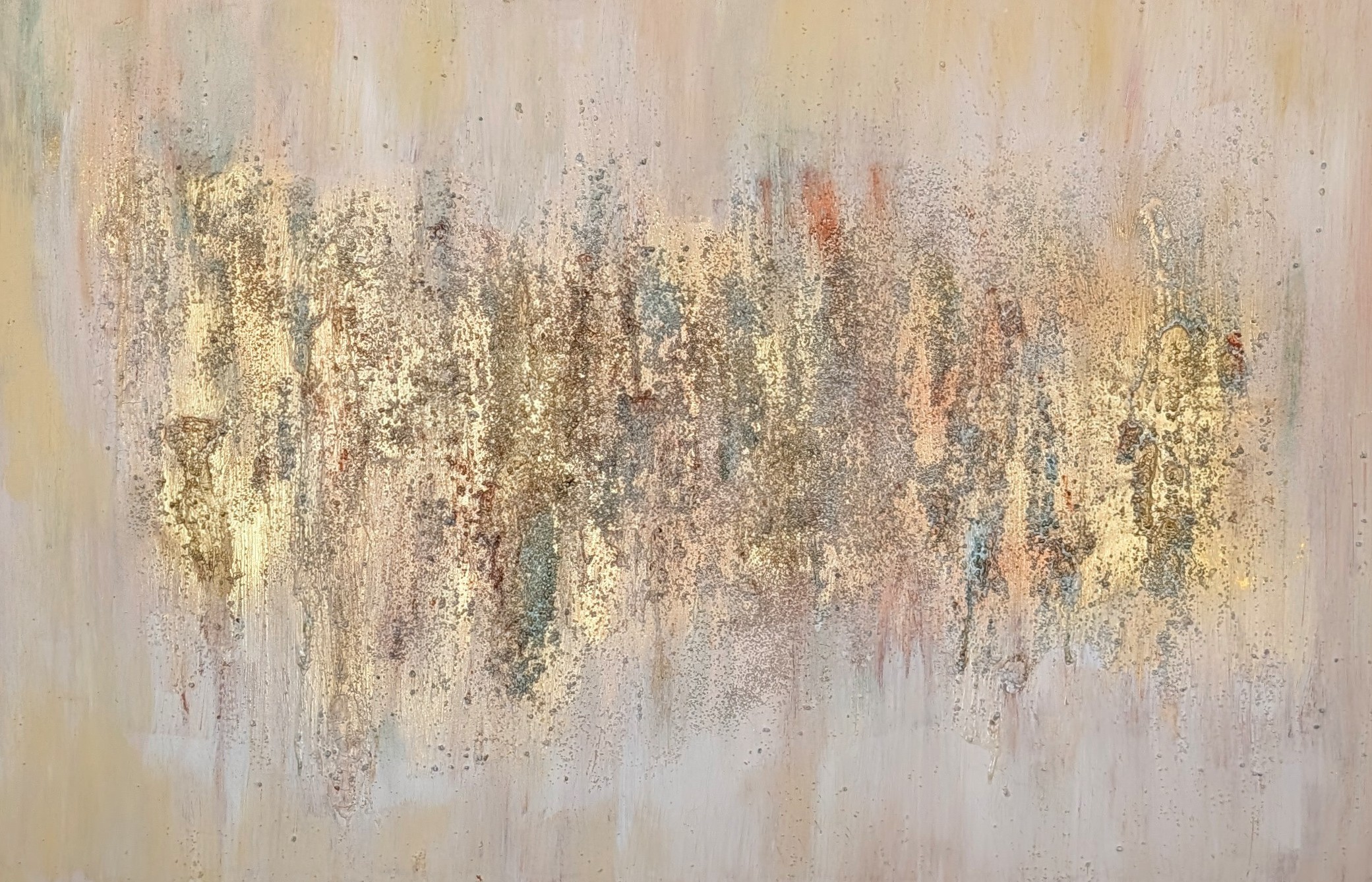 darwin australian collection catherine pasquali